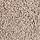 Horizon Carpet: Styligh Beauty Almond Shell